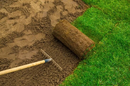 Bluegrass/Fescue Sod