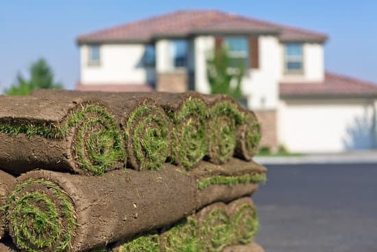 Bluegrass/Fescue Sod